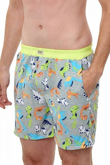 cueca samba cancao masculina dinossauros coloridos 4
